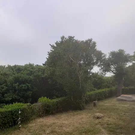531 * Banjol
